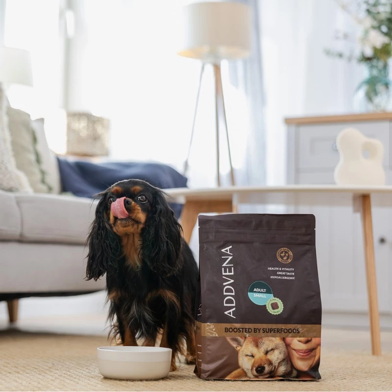 ADDVENA Boosted by superfoods Adult Small Beef - alimentação seca para cães - 10 kg