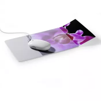 Durable Mouse Pad Plus 5747-19 com inserção para foto, extraplano, transparente