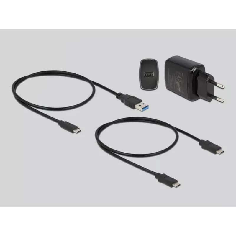 DeLOCK estação de acoplamento M.2 para 2 x M.2 NVMe PCIe SSD com função de clonagem