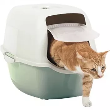 Rotho Bailey caixa de areia para gatos com cúpula, verde / branca