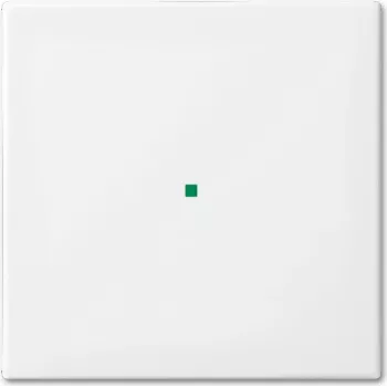 Busch-Jaeger 6230-10-914 branco