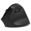 Rato sem fios ergonómico para destro, Dual WL+BT