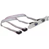 Delock Suporte de slot, 2 x porta série (DB9 macho), 40 cm