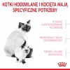 Ração seca para gatos Royal Canin Mother & Babycat 400 g — aves, para gatas gestantes e lactantes e gatinhos