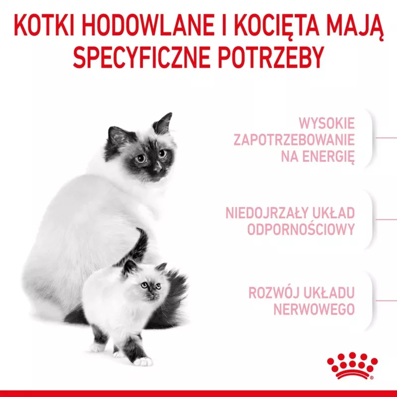 Ração seca para gatos Royal Canin Mother & Babycat 400 g — aves, para gatas gestantes e lactantes e gatinhos