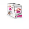 Comida húmida para cães Royal Canin Exigent Meat Universal 12×85 g — aves, adultos, para cães exigentes