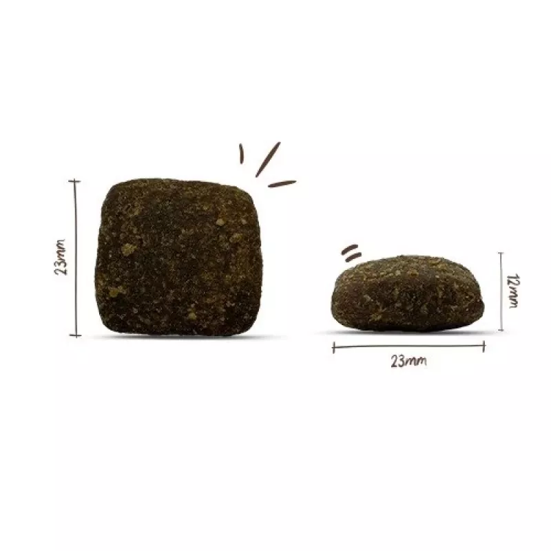 BOSCH Soft Maxi búfalo e batata-doce - ração seca para cães - 2,5 kg