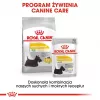 ROYAL CANIN Mini Dermacomfort - Comida seca para raças pequenas adultas com pele sensível e propensa a irritações - 3 kg