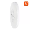 Lâmpada de teto inteligente 30cm WiFi/Bluetooth 16M RGBCW Gosund LB12 1920lm Tuya + comando.