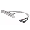 Cabo com chapa de slot USB Digitus AK-300301-002-E