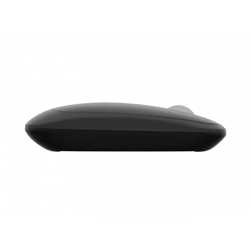 Rato Natec | Lark | Sem fios | 2,4 GHz, Bluetooth | Antracite