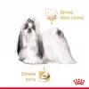 ROYAL CANIN Shih Tzu Adult comida húmida para cães patê 12x85 g