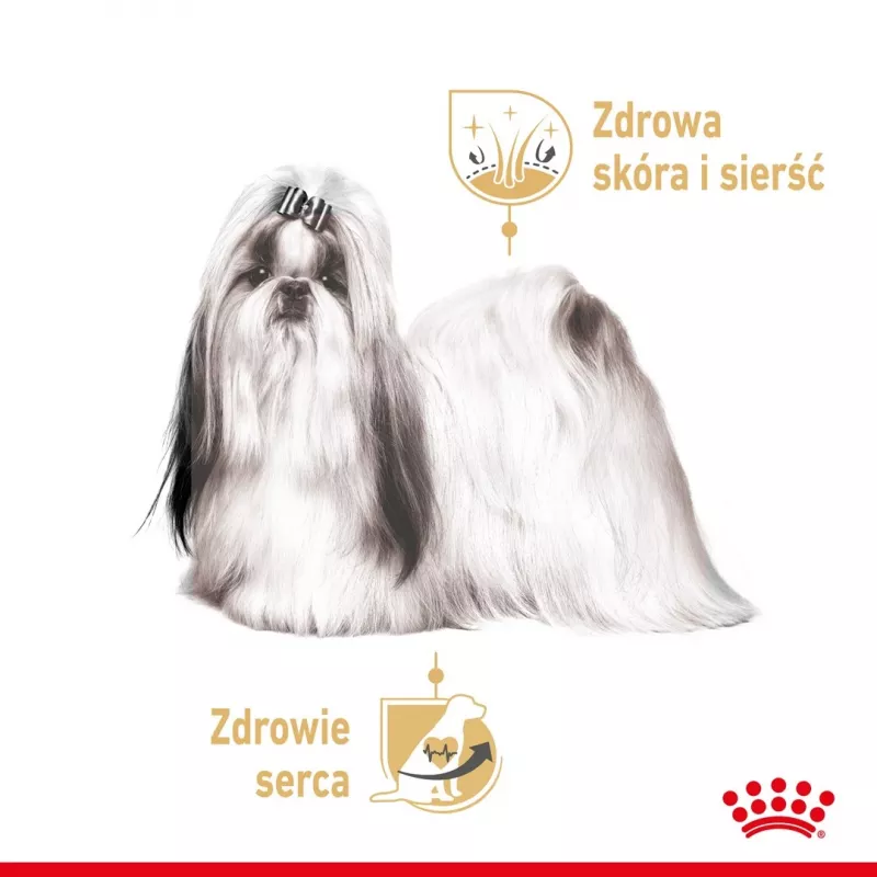 ROYAL CANIN Shih Tzu Adult comida húmida para cães patê 12x85 g