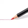 Lápis de cor Staedtler 149C C24