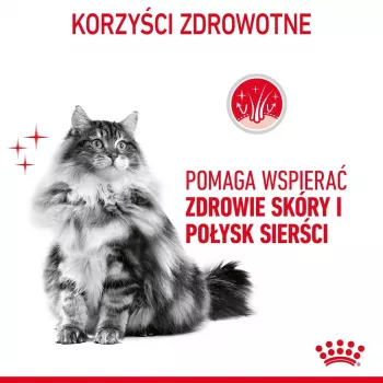 Ração seca para gatos Royal Canin Hair & Skin Care 2 kg — frango, gatos adultos, 33% proteína, 22% gordura