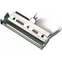 HONEYWELL 300 dpi - cabeça de impressão - para EasyCoder PX4i