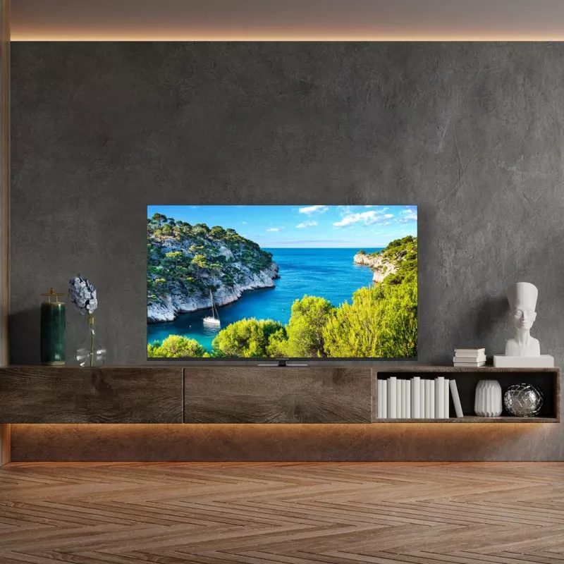 TV Thomson 65UG5C14 65