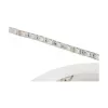 Synergy 21 Fita Flex LED 5050 - 60 RGB DC24V + RGB-W one chip ww IP68