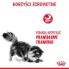 Royal Canin Digestive Care Adult ração seca para gatos, 10 kg, peixe, aves, arroz, legumes