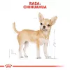 Royal Canin BHN Chihuahua Adult ração seca para cães, 1,5 kg