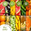 Conjunto de sementes Toraf Flavor Symphony - 12 embalagens