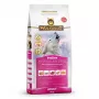 Comida seca para cães Wolfsblut VetLine Hypoallergenic Horse — 12 kg, monoproteína, 20 % proteína, sem cereais e sem glúten