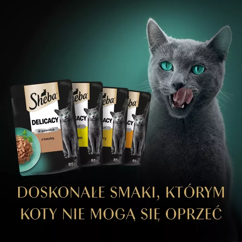 SHEBA Delicacy sabor a aves em geleia - alimento húmido para gatos - 40x85 g