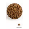 ACANA Classics Prairie Poultry - alimento seco para cães - 9,7 kg