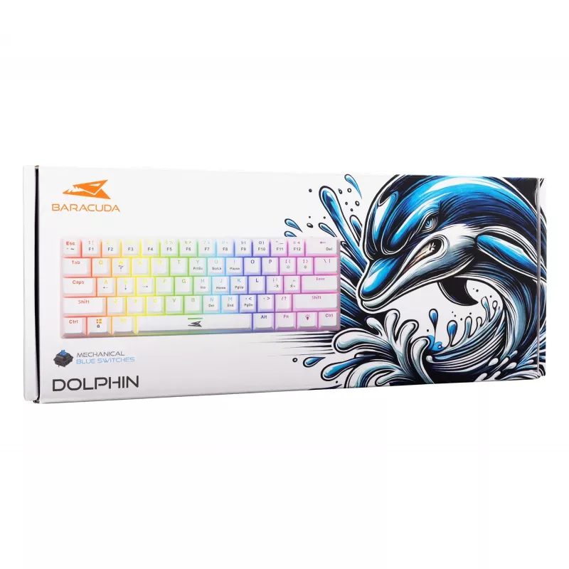 Baracuda DOLPHIN-W-azul branco