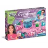 Clementoni Ciência & Jogo - Laboratório de ornamentos de cristal