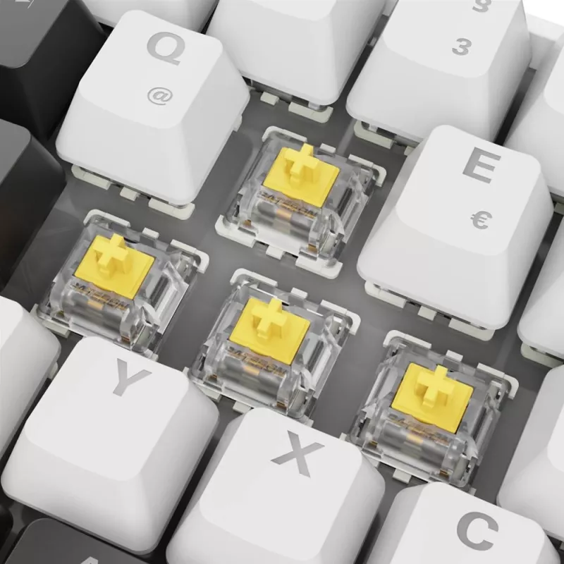 Teclado Sharkoon SGK50 S4 Home USB QWERTZ alemão branco RGB LED 60%