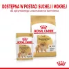 Comida seca Royal Canin Pomeranian Adult 3 kg – fórmula para raças pequenas para pomerânias adultos