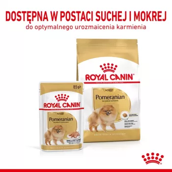 Comida seca Royal Canin Pomeranian Adult 3 kg – fórmula para raças pequenas para pomerânias adultos