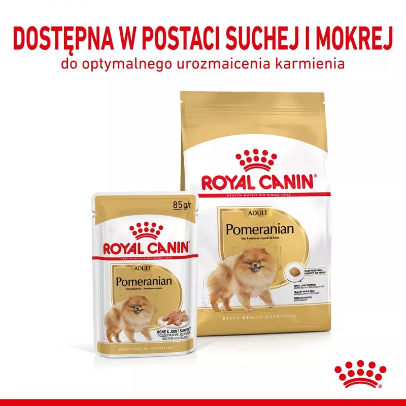 Comida seca Royal Canin Pomeranian Adult 3 kg – fórmula para raças pequenas para pomerânias adultos