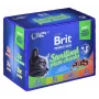 BRIT Premium Cat Sterilised Plate - Alimento húmido para gatos - 12x100g