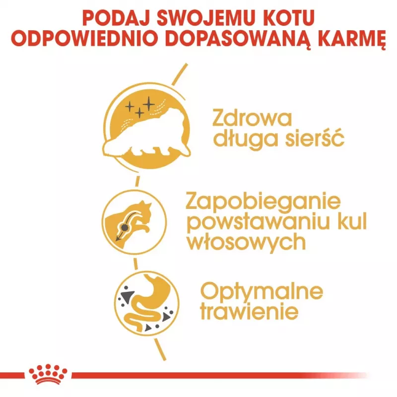 Royal Canin Persian Adult ração seca para gatos, 4 kg, milho, aves