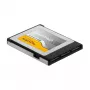 Cartão de memória DeLOCK 54066 256 GB CFexpress