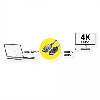 ROLINE 11.04.5997-10 Cabo DisplayPort para HDMI, 3 m, preto