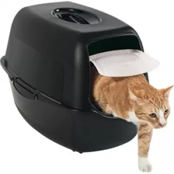 Rotho Bailey caixa de areia para gatos com cúpula, preta