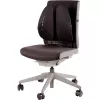 Apoio lombar para cadeira/Back Angel 8026401 FELLOWES