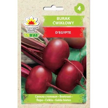 Sementes de hortícolas beterraba egípcia D'Egypte Toraf, pacote 10g