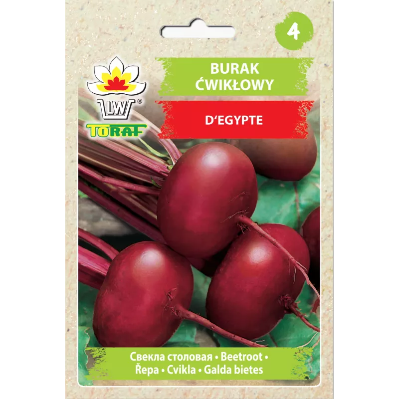 Sementes de hortícolas beterraba egípcia D'Egypte Toraf, pacote 10g