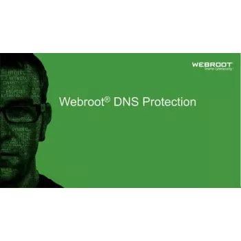 Webroot | DNS Protection with GSM Console | 1 ano(s) | Quantidade de licenças 10-99 utilizadores
