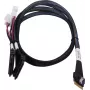 Cabo SAS ADAPTEC Microchip Technology 2305500-R SlimSAS ×8 para 2×2SFF-8639 U.2, 0,8 m, preto