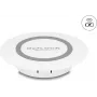Carregador interno DeLOCK 66260 carregamento sem fios branco
