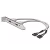Cabo com chapa de slot USB Digitus AK-300301-002-E