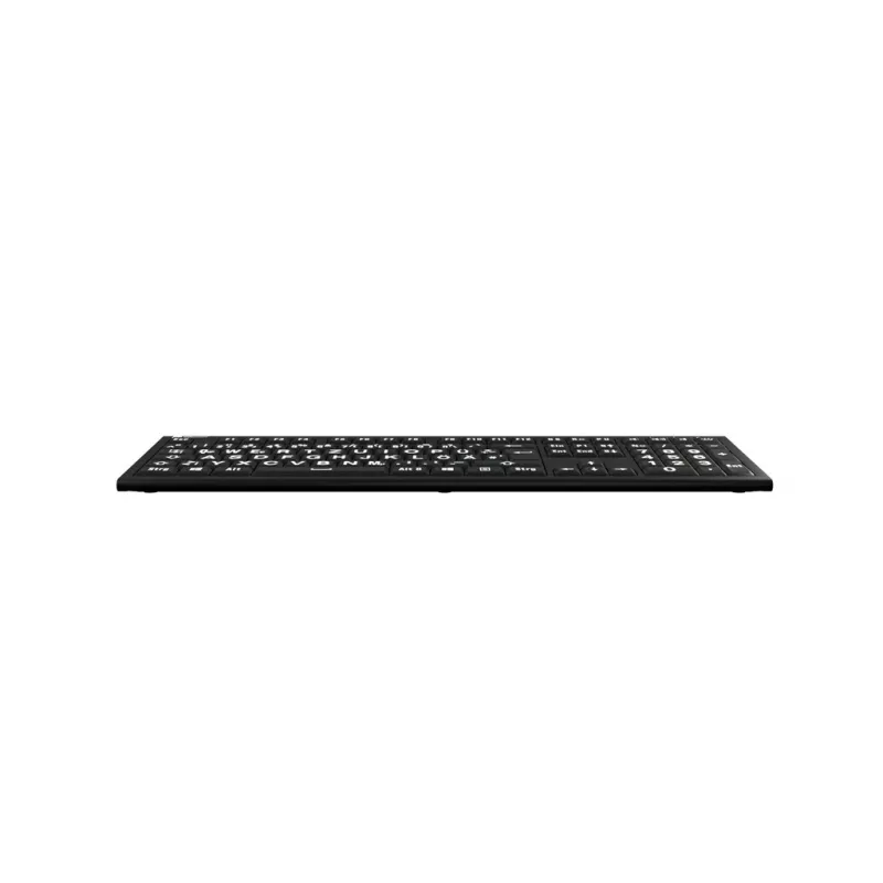 LogicKeyboard XL-Print Astra 2 branco sobre preto DE (PC)
