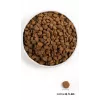 ORIJEN Dog Original - comida seca para cães - 2 kg