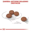 Royal Canin Mini Digestive Care 1 kg Adult aves