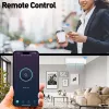 Tomada de parede inteligente WiFi Tellur TLL331531 – 3600 W 16 A, controlo remoto por WiFi
